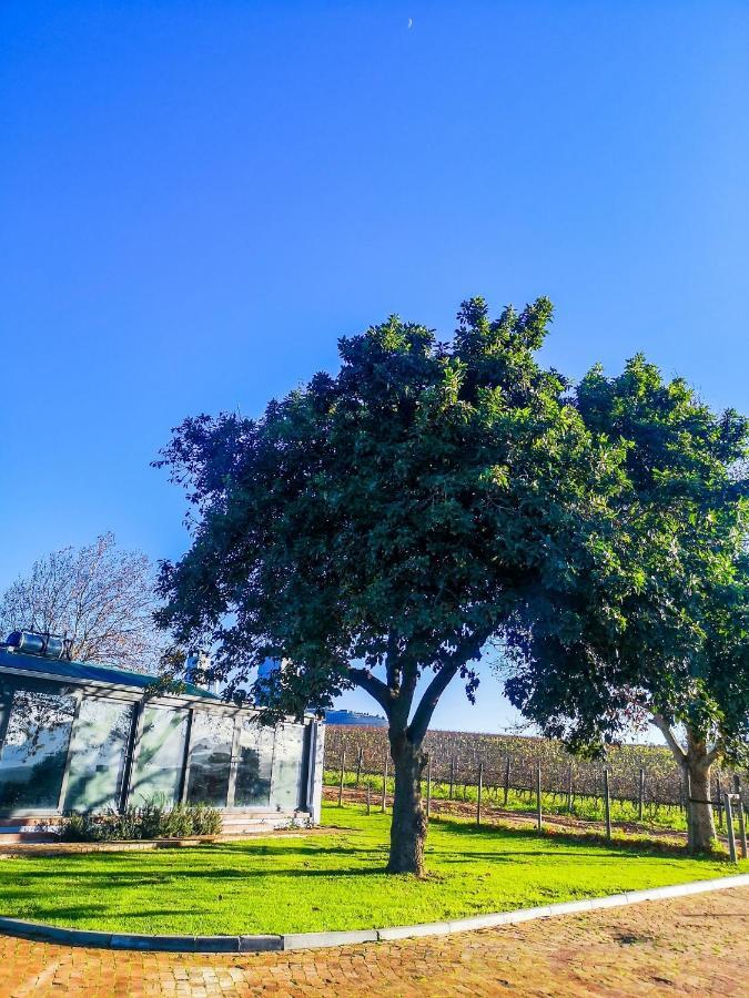 401 Rozendal Cottages 斯泰伦博斯 外观 照片