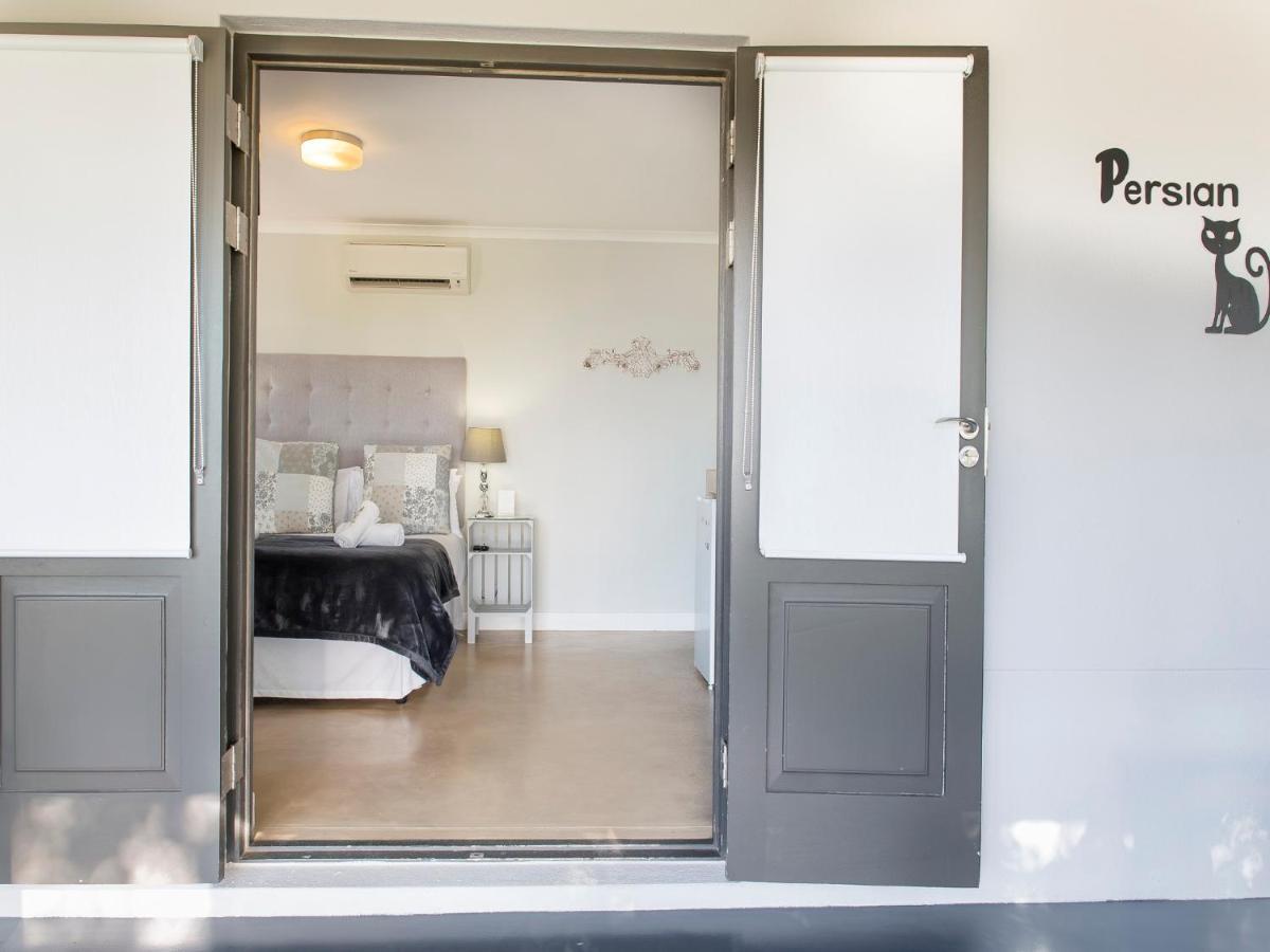 401 Rozendal Cottages 斯泰伦博斯 外观 照片